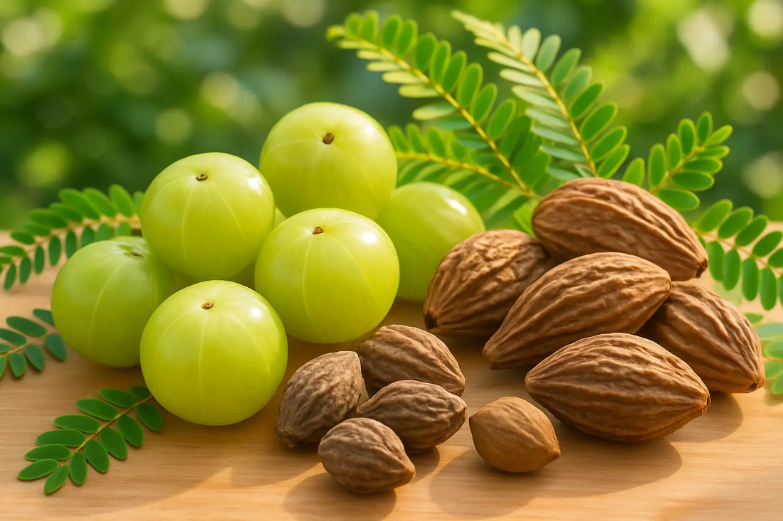 triphala-vitablend-digestion-constipation-fatigue-support
