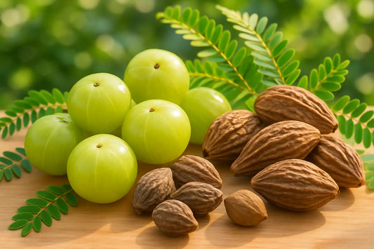 triphala-vitablend-digestion-constipation-fatigue-support