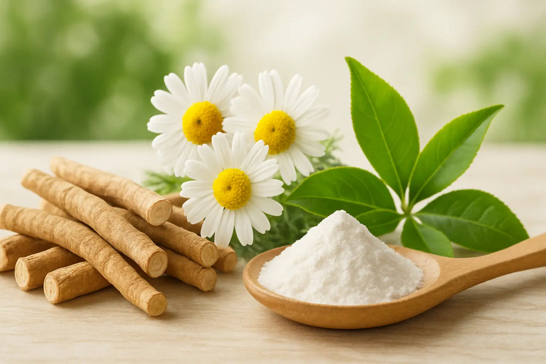 burnout-culture-america-why-rest-is-essential