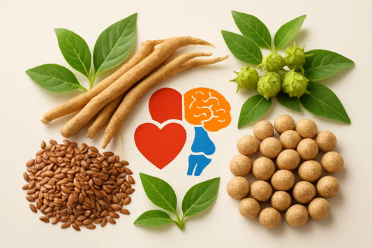 longevity-news-simple-heart-brain-joint-omega-herb-support