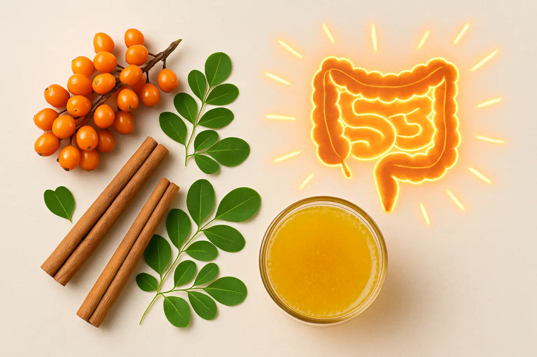 why-gut-health-matters-immunity-energy-best-supplements