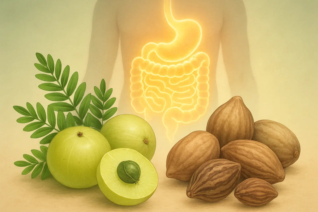 types-of-digestive-disorders-metabolic-disorders-diverticulitis