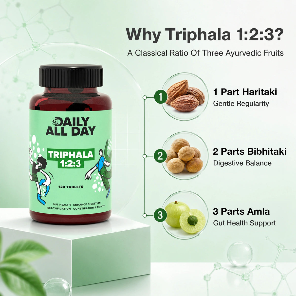 Triphala ratio 1:2:3 - 1 part haritaki, 2 parts bibhitaki, 3 parts amla
