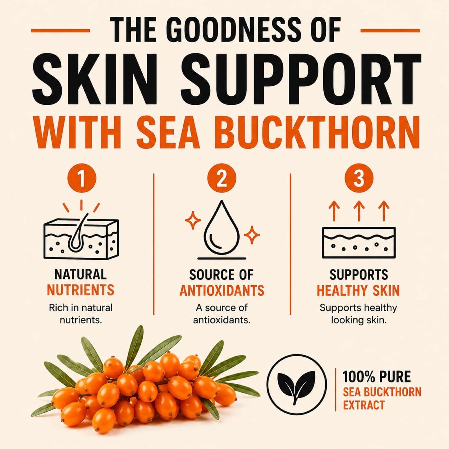 Sea Buckthorn Tablets - Omega-3,6,7 & 9 Daily Wellness & Nutrition