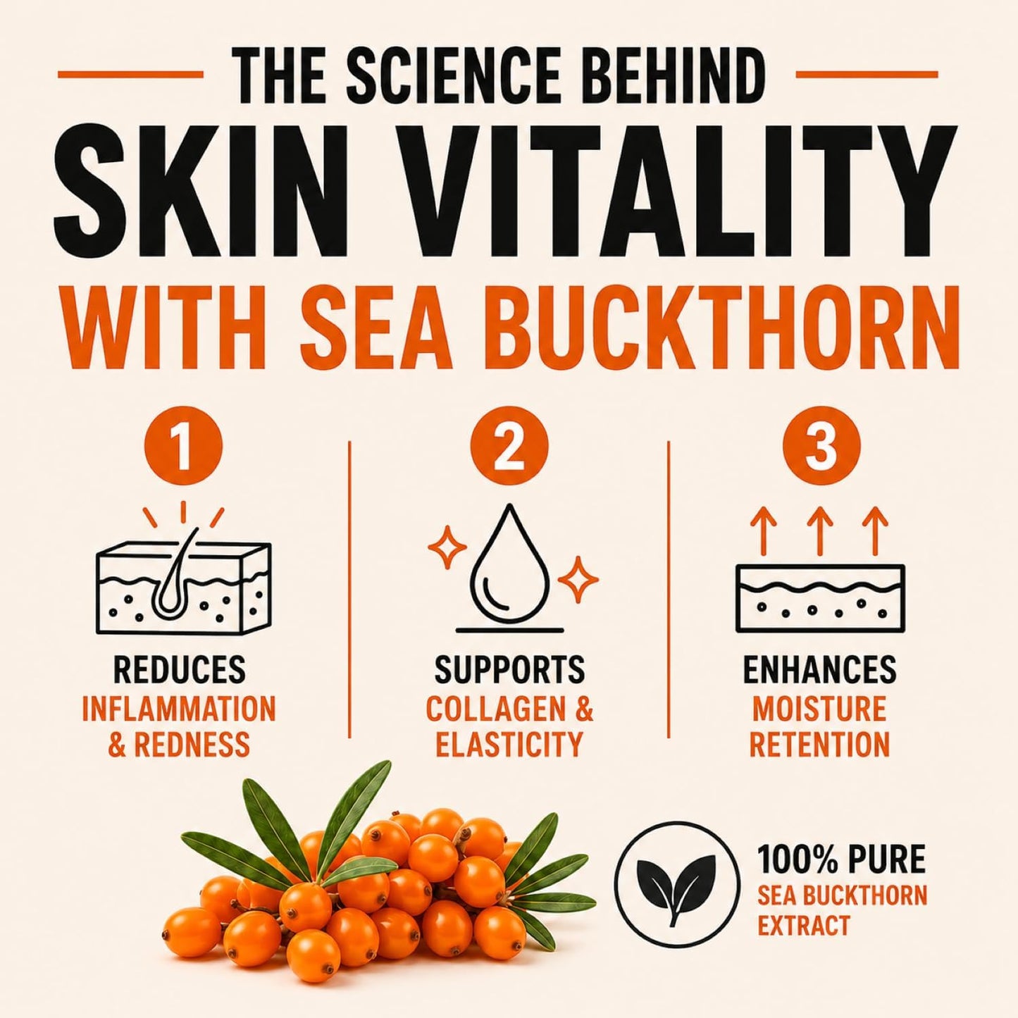 Sea Buckthorn Tablets - Daily Wellness & Nutrition