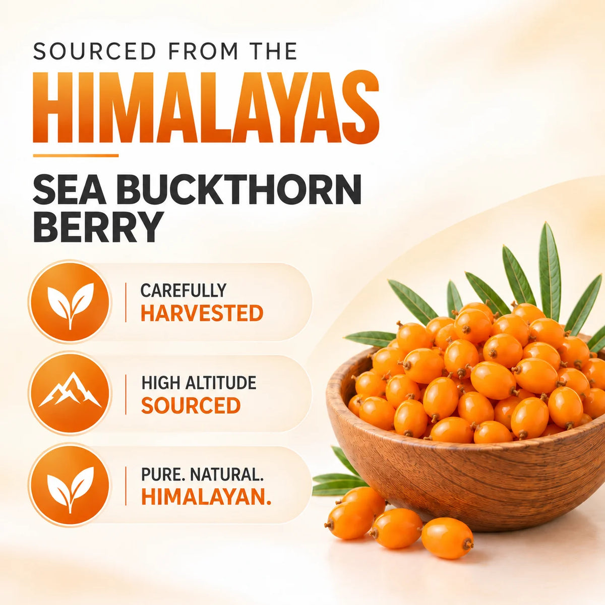 Sea Buckthorn Tablets - Omega-3,6,7 & 9 Daily Wellness & Nutrition